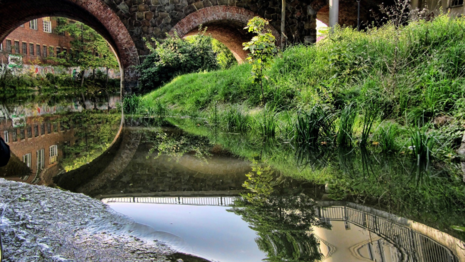 Brückenbogen und Teich